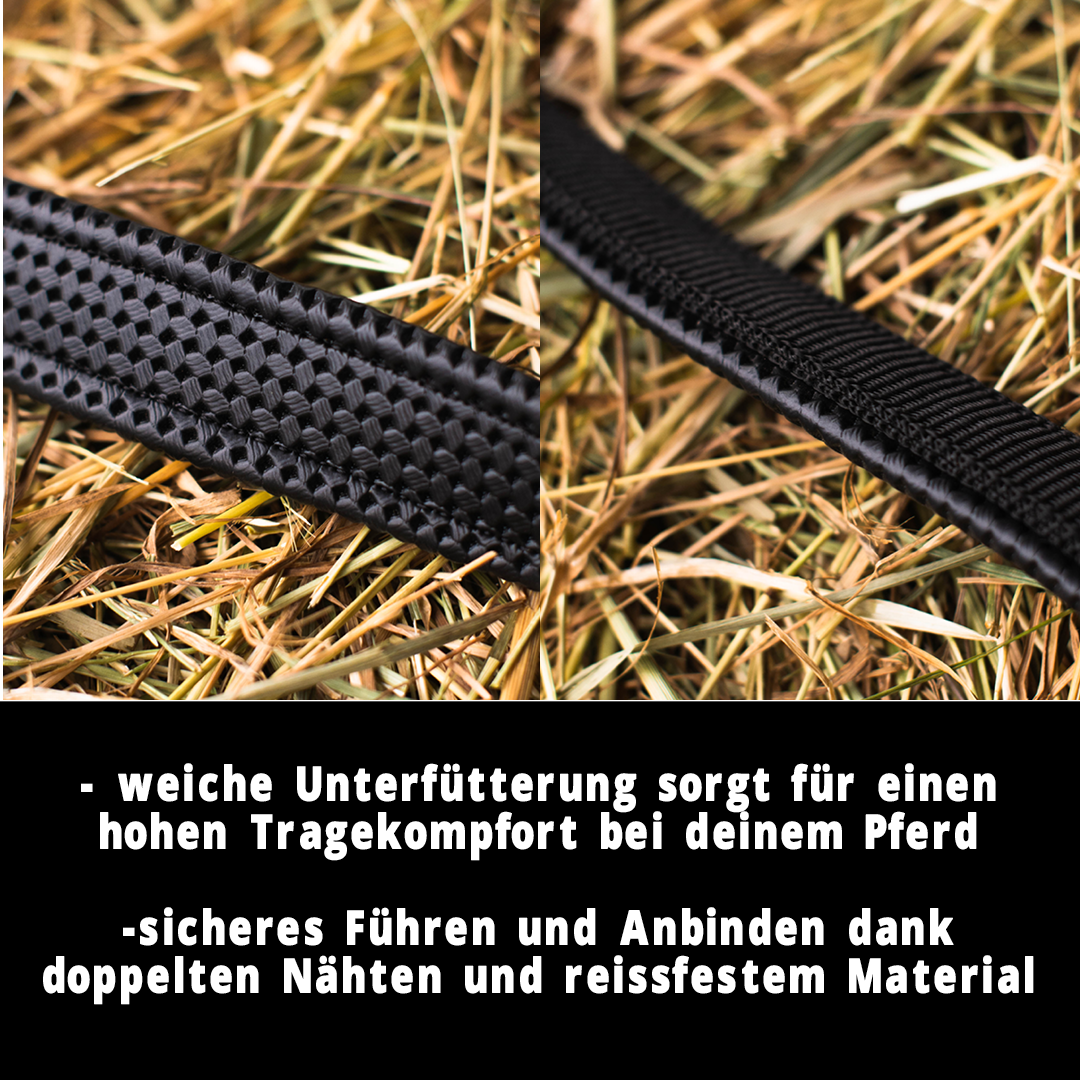 Halfter 2-Fach verstellbar mit Dornschnallen